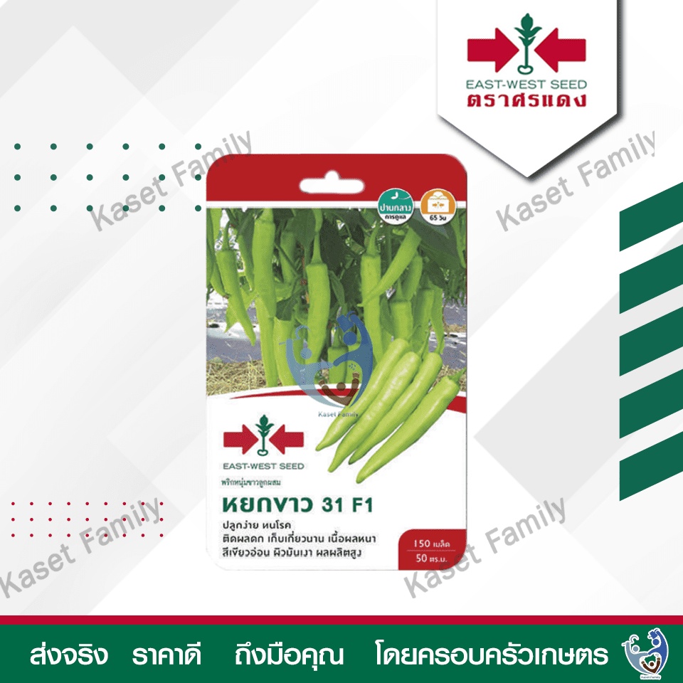 ผักซอง พริกหนุ่มขาว หยกขาว 31 150 เมล็ด เมล็ดพริกหนุ่มขาว ตราศรแดง ราคา ถูกที่สุด ดีลบีเคเค