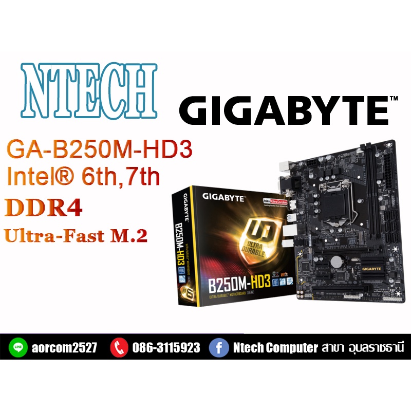 MAINBOARD (เมนบอร์ด) 1151 GIGABYTE GA-B250M-HD3