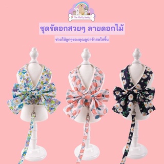 ตอนนี้มีของทุกไซส์! สายจูง+ปลอกคอที่รัดอก เสื้อกล้ามมีโบว์ใหญ่ สายจูงสัตว์สำหรับสัตว์เลี้ยง/สายจูงสุนัขหรือแมว/สายจูงหมา