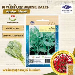 CHIATAI  ผักซอง เจียไต๋ คะน้าใบ O009 ประมาณ 2,260 เมล็ด คะน้า เมล็ดพันธุ์ผัก เมล็ดผัก เมล็ดพืช ผักสวนครัว ZB6L