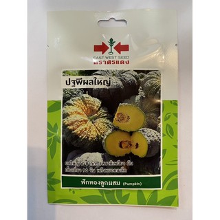 ปฐพีผลใหญ่ ศรแดง Pumpkin เมล็ดพันธ์ุฟักทองลูกผสม ชื่อพันธ์ุ ปฐพีผลใหญ่ เมล็ดพันธ์ุคุณภาพตราศรเเดง บรรจุในซองควบคุมคุณภาพ