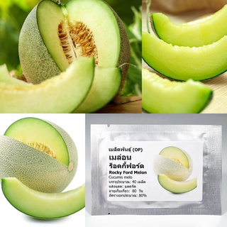 เมล็ดพันธุ์  เมล่อน ร็อคกี้ฟอร์ด เนื้อเขียว Rocky Ford Green Flesh Melon Seed 40 เมล็ด คุณภาพดี ราคาถูก ของแท้ 100%