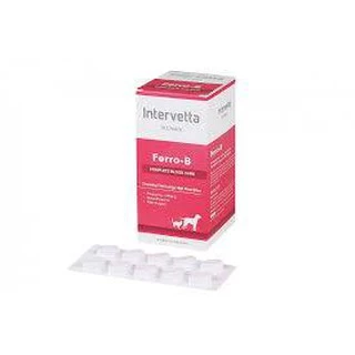 Dr.Choice Ferro-B (Exp.10/2027) บรรจุ 100 เม็ด อาหารเสริมเพื่อช่วยบำรุงสำหรับสุนัขและแมว