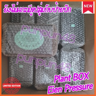 CGM48 PLANT BOX Eien Pressure กระถางต้นไม้พร้อมดินผสมปุ๋ยออร์แกนิก เมล็ดพันธุ์เปปเปอร์มินต์ มีรูปสุ่มป้ายปัก พร้อมส่ง