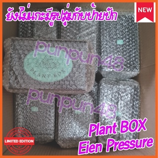 CGM48 PLANT BOX Eien Pressure กระถางต้นไม้พร้อมดินผสมปุ๋ยออร์แกนิก เมล็ดพันธุ์เปปเปอร์มินต์ มีรูปสุ่มป้ายปัก พร้อมส่ง