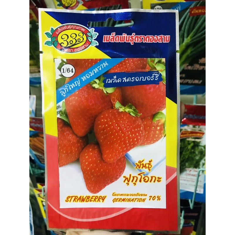 สตรอว์เบอร์รี่ เมล็ดพันธุ์ เมล็ดสตรอเบอร์รี่ Strawberry – โปรปัง