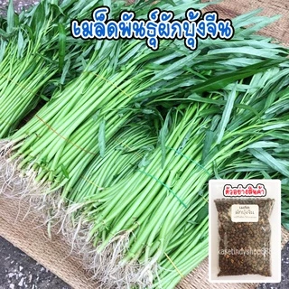 เมล็ดพันธุ์ ผักบุ้งจีน ผักสวนครัว 20 กรัม [10 แถม 1 คละได้]