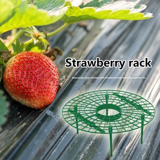 PHITELOTOUS Plastic Strawberry Support Stand Removable Vegetable Fruit Plant Rack