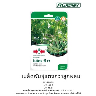 East-West Seed เมล็ดพันธุ์แตงกวาลูกผสม (Cucumber seeds) ไมโครซี F1ColorMixedChamomileMixRubyKaleManilaZinniaLycopersicon