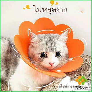 Arleen คอลล่าแมว ปลอกคอดอกไม้ ปลอกคอกันเลีย คอลล่าสุนัข Cat coll