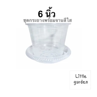 Little ชุดกระถางพร้อมจาน 6 นิ้ว
