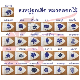 ธงหมู่ดอกไม้ ประจำหมู่เนตรนารี เลือกหมู่ได้แล้วนะครับ