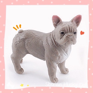 โมเดล ตุ๊กตา เฟรนช์ บลูด็อก :: French bulldog :: ตุ๊กตาจำลอง เรซิ่น น่ารัก รายละเอียดดี ตุ๊กตาเหมือนจริง