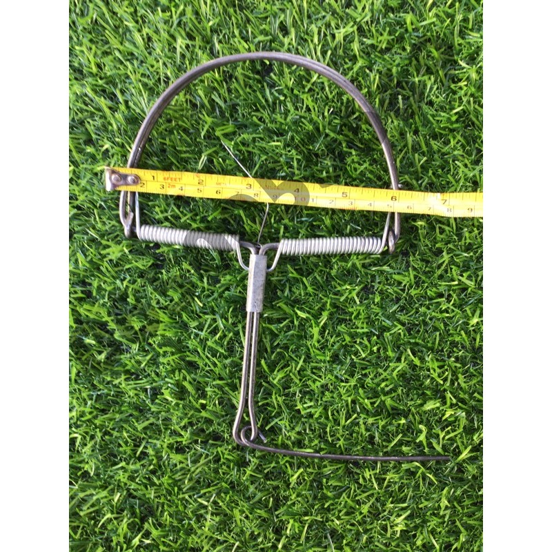 รูปภาพ 2