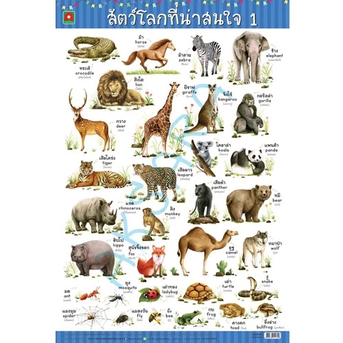 Aksara for kids โปสเตอร์ หุ้มพลาสติก ติดผนัง สัตว์ 1