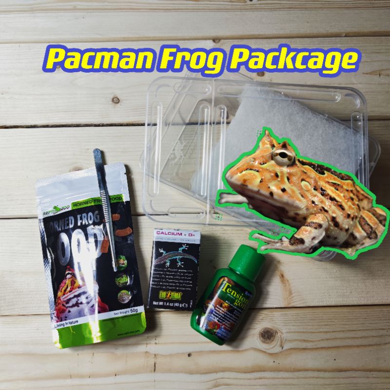 Pacman Frog New Bie Package (ไม่มีกบ)