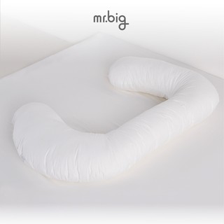 mr.big Jay Pillow หมอนสำหรับคนชอบนอนตะแคง แถมปลอก 1 ชิ้นในแพ็คเกจ