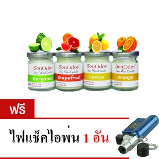 SenOdos เทียนหอมอโรม่า ชุดกลิ่นผลไม้ Fruity Set 45g x 4กลิ่น
 (แถมฟรี
ไฟแช็คไอพ่น 1 อัน)