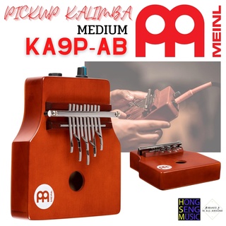 Kalimba คาลิมบา AA Meinl KA9P-AB Pickup Kalimba