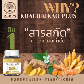 สารสกัดกระชายขาว บรรจุแคปซูล Krachaikao Plus+