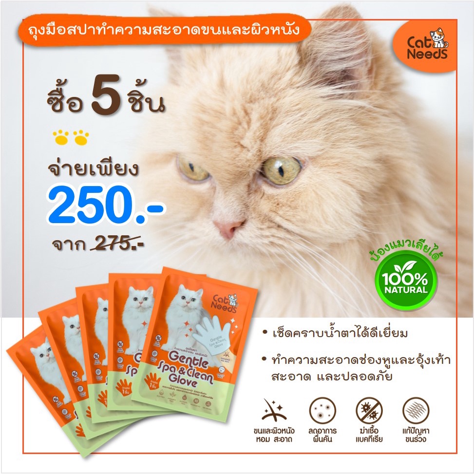 ถุงมือสปาจำนวน 10 ชิ้น ผ้าเปียกป้องกันเชื้อโรค เชื้อแบคทีเรีย เชื้อรา ลดกลิ่นสาป ทำความสะอาดขนและผิวหนังแมว น้องหมา