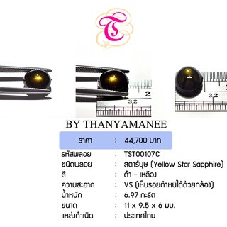 พลอยสตาร์บุษ  Yellow Star Sapphire ขนาด  11x9.5x6 มม. พลอยแท้ มีใบรับรอง