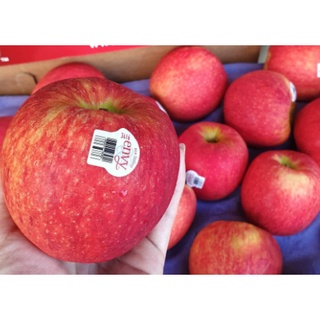 TOP-1แอปเปิ้ลเอนวี่ ENVY APPLE (8ลูก/ไซส์L) (NewZealand/USA) ~ลดพิเศษ~ส่งฟรี~ Apple Premium หวาน กรอบ อร่อย !