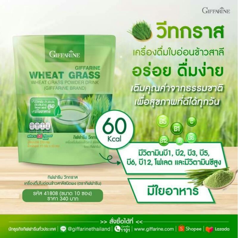 WHEAT GRASS  วีทกราส