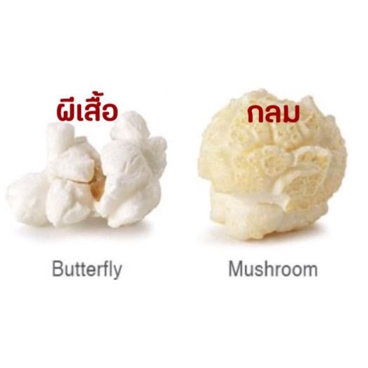 เมล็ดป๊อปคอร์น มี 2 พันธุ์ (ผีเสื้อ/เห็ด) 250ก.-1กก. (Popcorn,เมล็ดข้าวโพด,เมล็ดทำข้าวโพดคั่วเกรด A) - รูปที่ 2