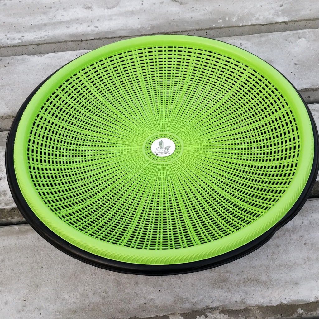 ชุดเลี้ยงด้วงสาคู กะละมัง  พร้อม ฝาปิด เพื่อการเลี้ยงด้วงสาคู ในกะละมังแบบง่ายๆ - รูปที่ 5