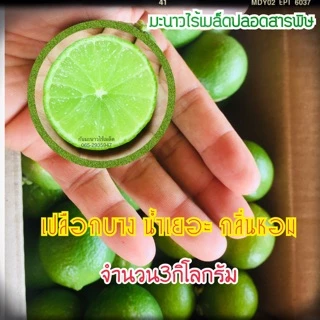 มะนาวไร้เมล็ดปลอดสารพิษ มะนาวตาฮิติ ลูกใหญ่ ขนาด1กก กลิ่นหอมน้ำเยอะ ลูกใหญ่คัดพิเศษ