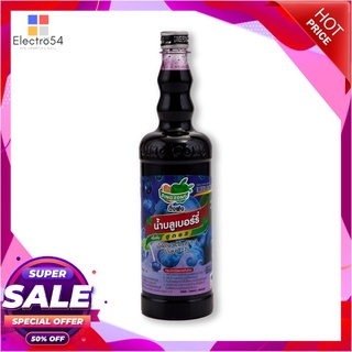 ติ่งฟง น้ำสควอช บลูเบอร์รี่ 760 มล. x 12 ขวดน้ำอัดลมและน้ำหวานDing Fong Blueberry Squash 760 ml x 12 Bottles