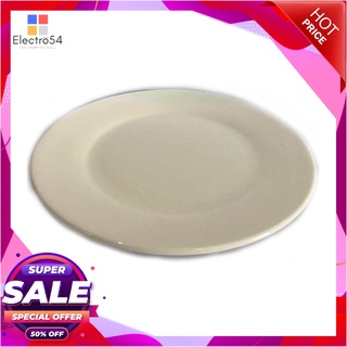 เอโร่ จานมีขอบ ขนาด 10 นิ้วอุปกรณ์ครัวและเครื่องใช้aro Plate 10"