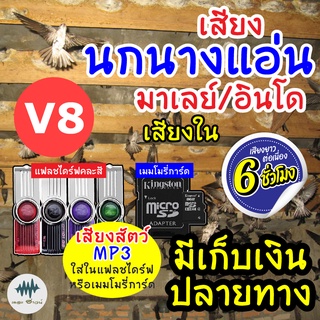 (MP3 เสียงต่อสัตว์) เสียงนกแอ่นอินโด-เสียงใน V.8 [6ชั่วโมง] ใส่เมม/แฟลชไดร์ฟ มีเก็บเงินปลายทาง ชัดเข้าไว100% ไม่มีโฆษณา