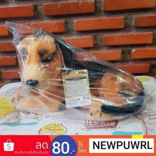 Real Animal Dog Plushy (ตุ๊กตาหมาเหมือนจริง)ลิขสิทธิ์แท้จากญี่ปุ่น🇯🇵