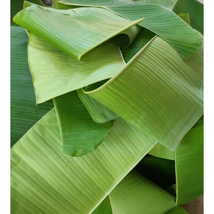 ใบตองกล้วยน้ำว้าสดสวยๆโลละ60บาท