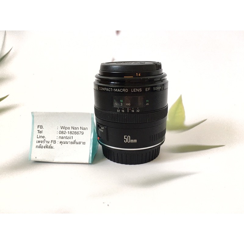 Canon ef 50mm f2 5 compact macro wipanannan thaipick