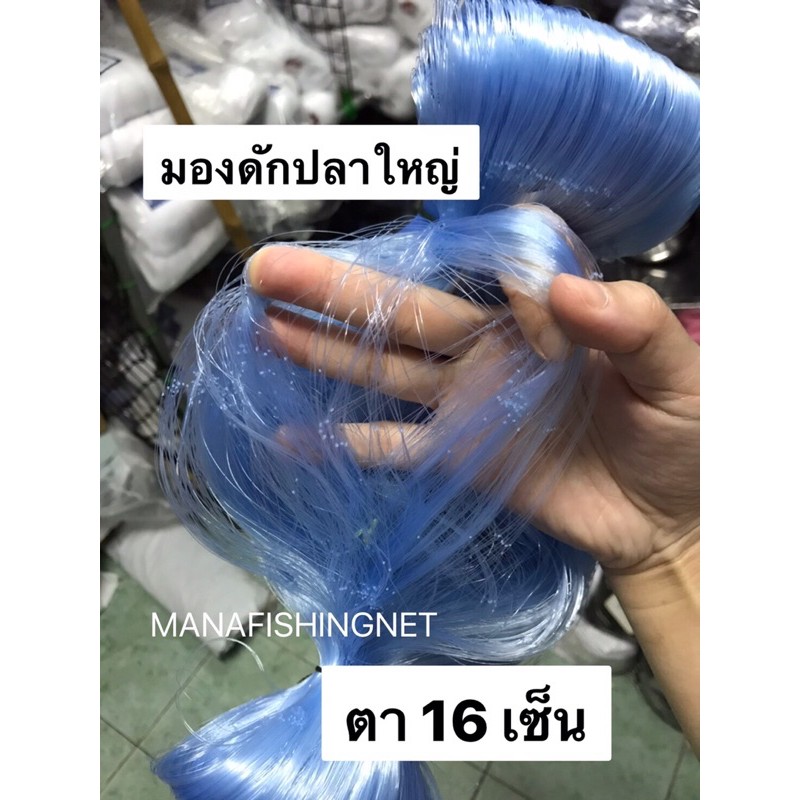 ตาข่ายดักปลาราคาถูก 16 เซ็น ป้ายยาว 200เมตร  📌 ตา 16 เซน น้ำลึก 3.2 เมตร #ดางดักปลา #ข่ายดักปลาใหญ่