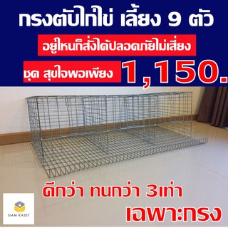 กรงตับไก่ไข่ กรงเดี่ยวไก่ไข่ 9ตัว