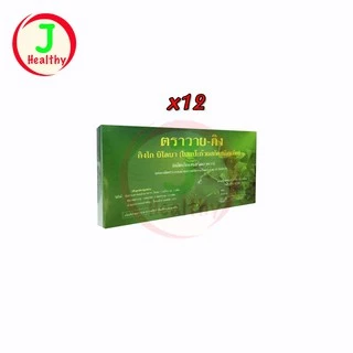 Y-GINK " 12 กล่อง " ใบแป๊ะก๊วยสกัด กิงโก บิโลบา วาย-กิง (30 เม็ด x12) จำนวน 12 กล่อง