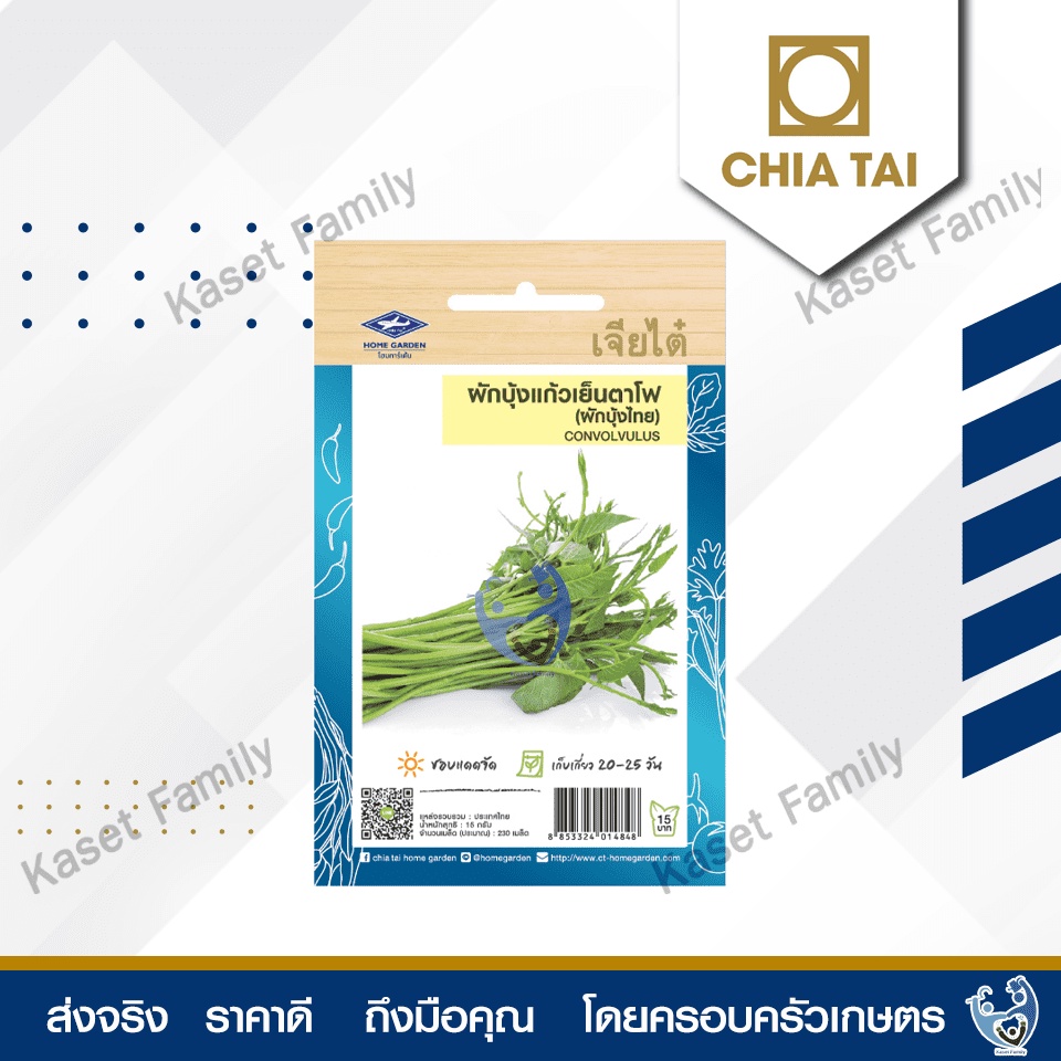 ผักซอง ผักบุ้งแก้วเย็นตาโฟ (ผักบุ้งไทย) 230 เมล็ด เมล็ดผักบุ้งแก้ว ตราเจียไต๋
