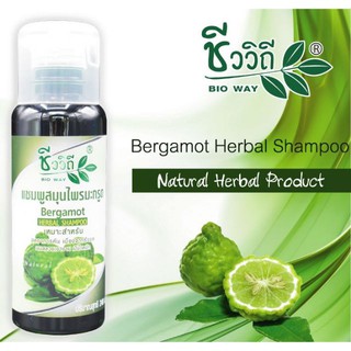 แชมพูสมุนไพรมะกรูด 240 มล. Bergamot Herbal Shampoo 240 ml.