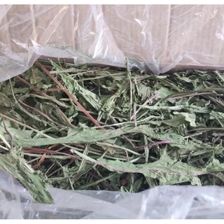 ใบแดนดิไลออนอบแห้ง (Dried Dandelion Leaves) 50 กรัม สำหรับสัตว์ฟันแทะ กระต่าย ชินชิลล่า ชินชิล่า แกสบี้ แพรี่ด็อก