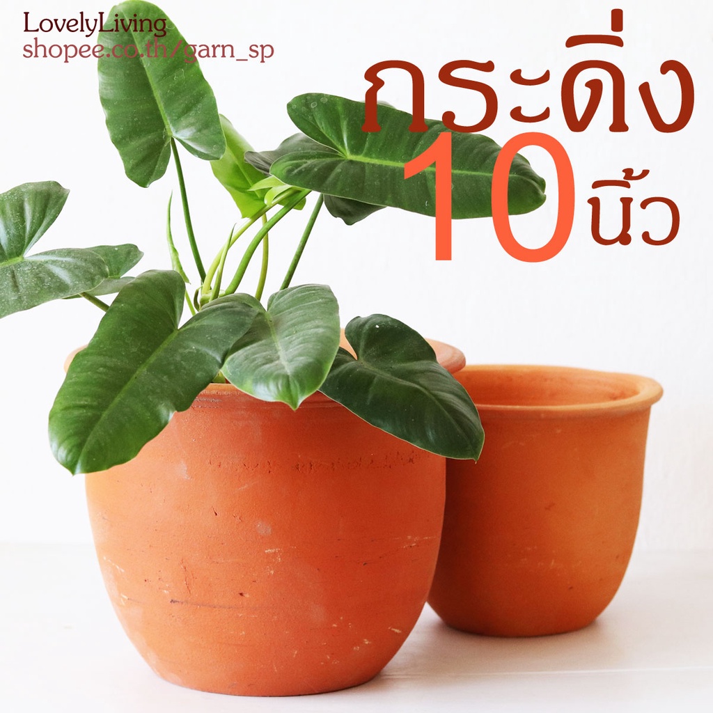 กระถางดินเผา 10 นิ้ว ทรงกระดิ่ง รุ่นขายดี terracotta pots