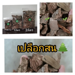 🌲เปลือกสน​ อบแห้ง🌲   ​ สะอาด​ ​วัสดุปลูกอย่างดี​