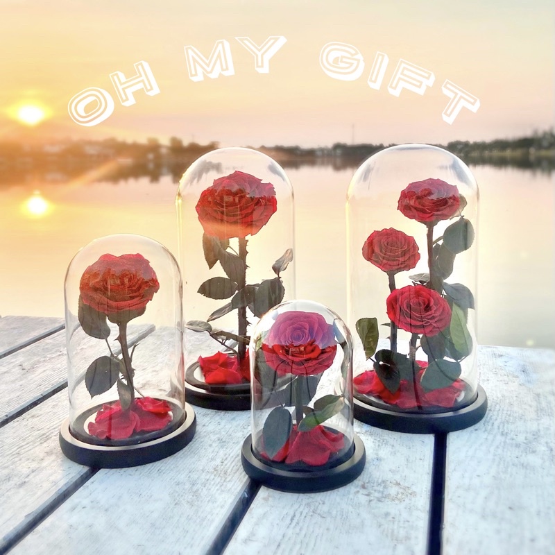 ส่งจาก กทม.🎁ฟรีกล่องของขวัญ 🌹Preserved Rose Flower ดอกกุหลาบอมตะในโหลแก้ว วาเลนไทน์ Ohmygift.th