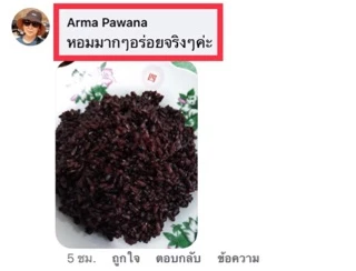 ข้าวกล้องไรซ์เบอรี่ ข้าวสีซีด คัดพิเศษ 5 กก.กระสอบ ปลอดสาร