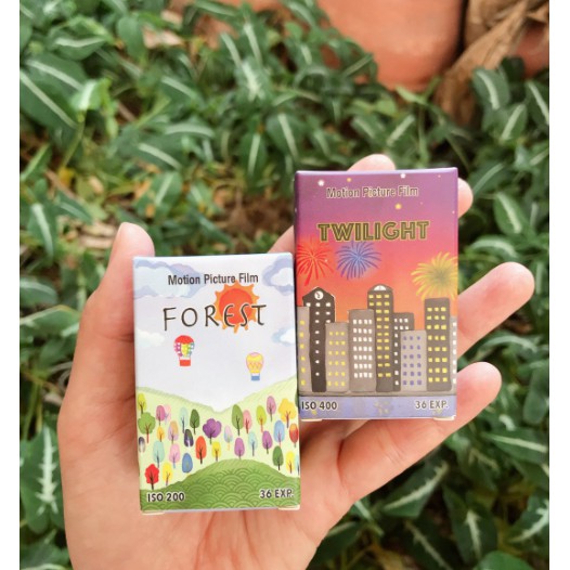 Forest (Kodak Vision 3 250D)  /  Kodak Vision 3 500T (Fresh) iso 400
