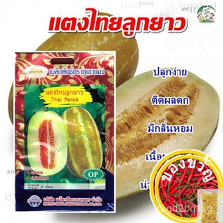 เมล็ดแตงไทยลูกยาว Thai Melon เมล็ดแตงไทย เมล็ดพันธุ์แตงไทย เมล็ดผักสวนครัว ตราภูเขาทอง OMFT