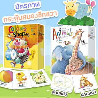 แฟลชการ์ด Jumbo Color และ Animal สนพ ห้องเรียน